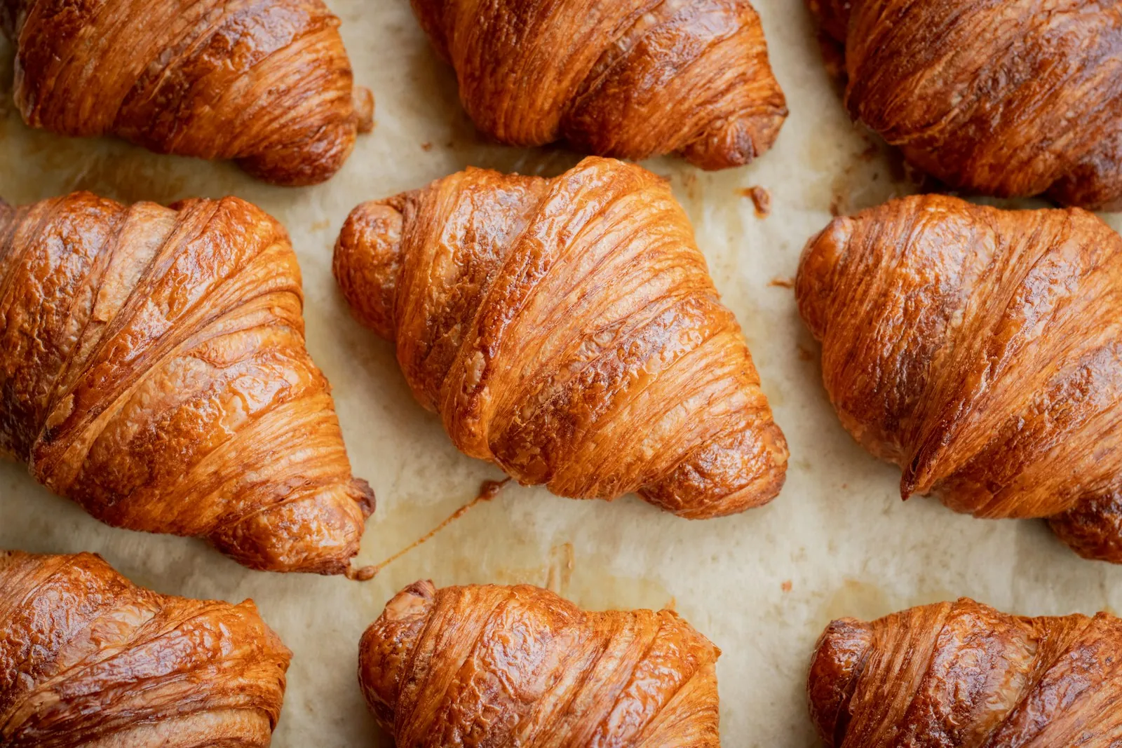 Rows of freshly baked croissants