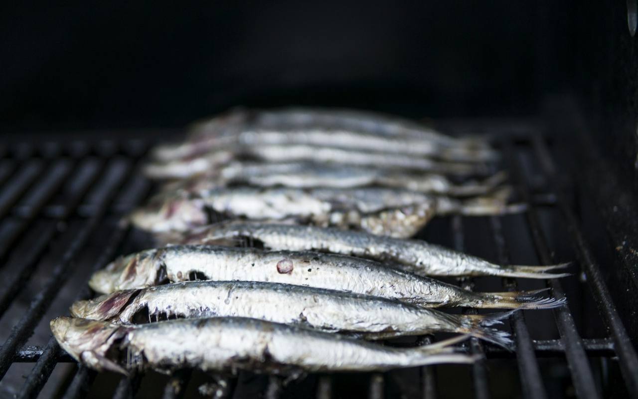 Sardines on a charcoal grill